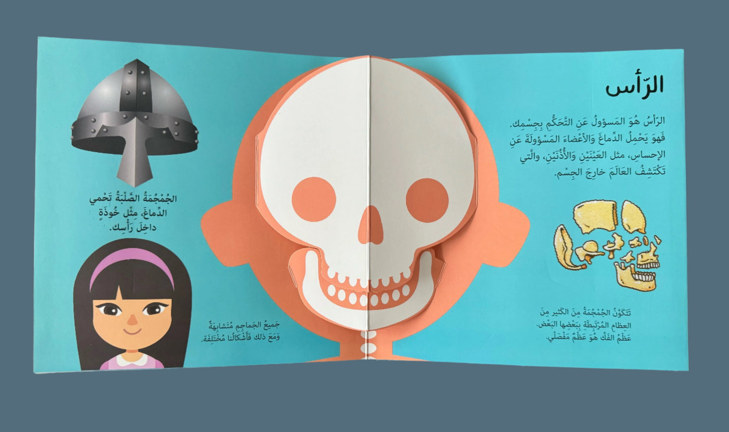 Pop-Up: Human Body - لنوافذ البارزة المشوقة للصغار : جسم الأنسان