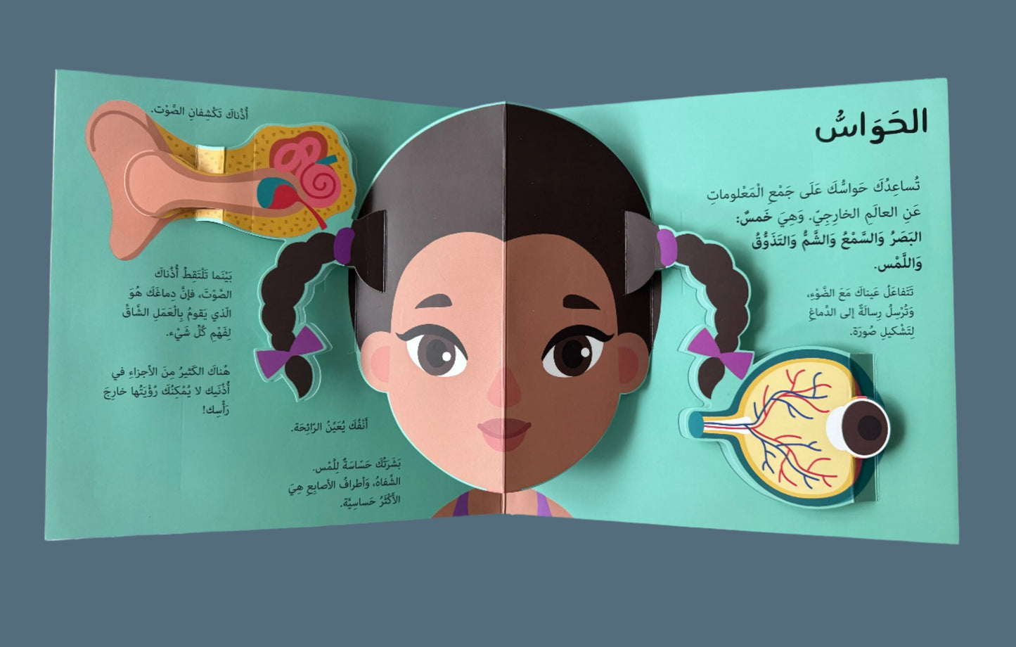 Pop-Up: Human Body - لنوافذ البارزة المشوقة للصغار : جسم الأنسان