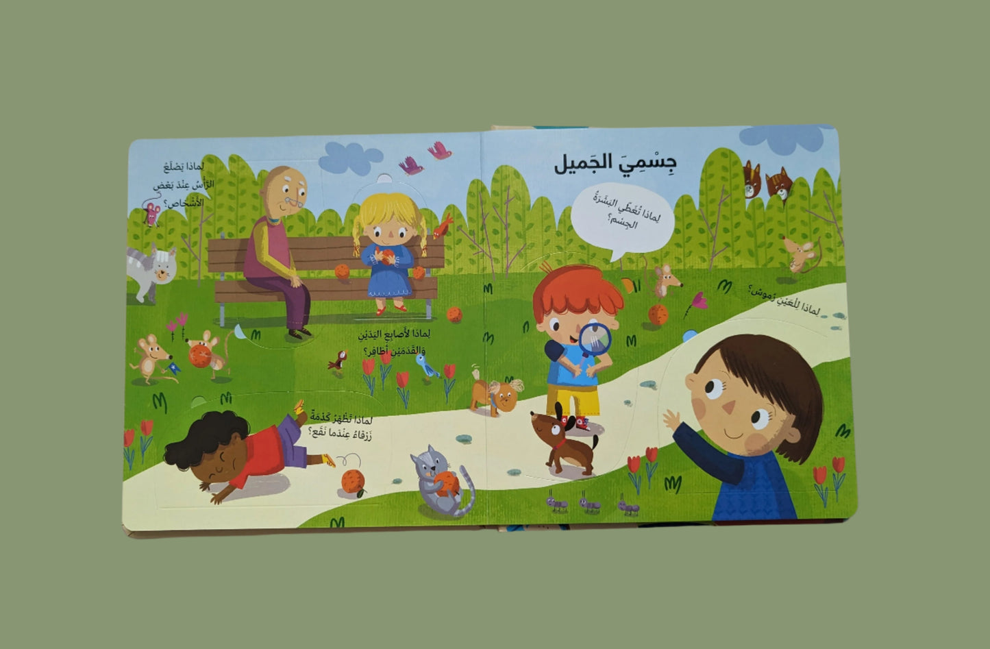 My Body: Questions and Answers - جسمي: أسئلة و أجوبة للصغار