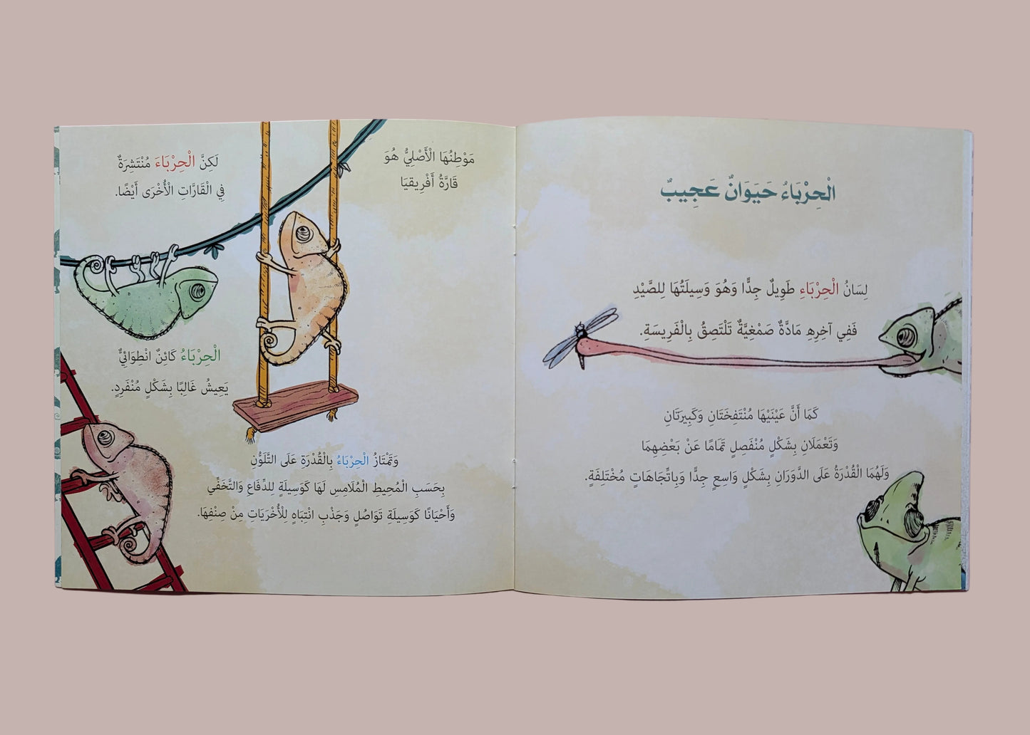 Mr. Spot and His 7 Colors - السيد بقعة و ألوانه السبعة