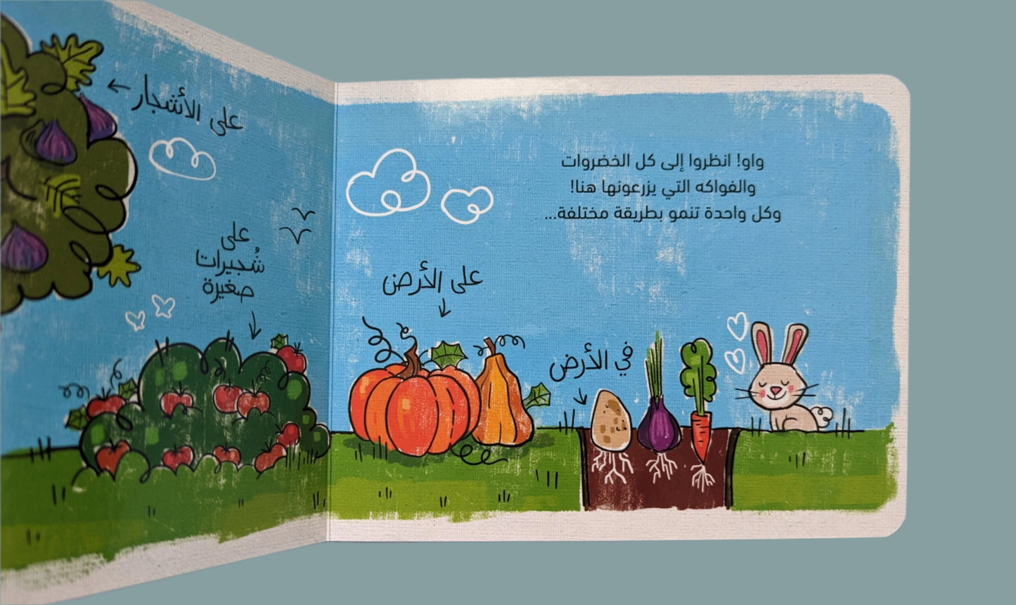 Zingo Ringo: My Little Grocery Store (Fruits & Vegetables) - (بقالتي الصغيرة (الخضار و الفواكه
