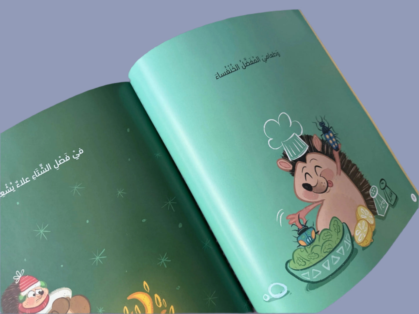 Alaa's Hedgehog - قنفذ علاء