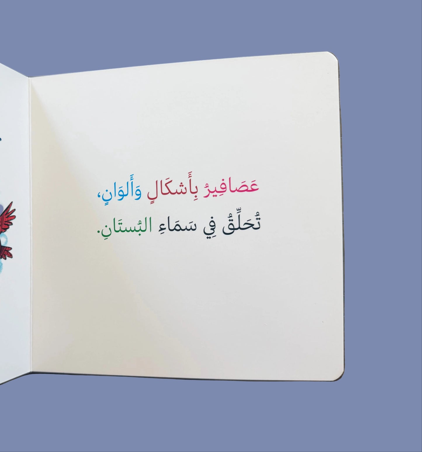 Open book with colorful birds illustration and Arabic text on a wooden surface