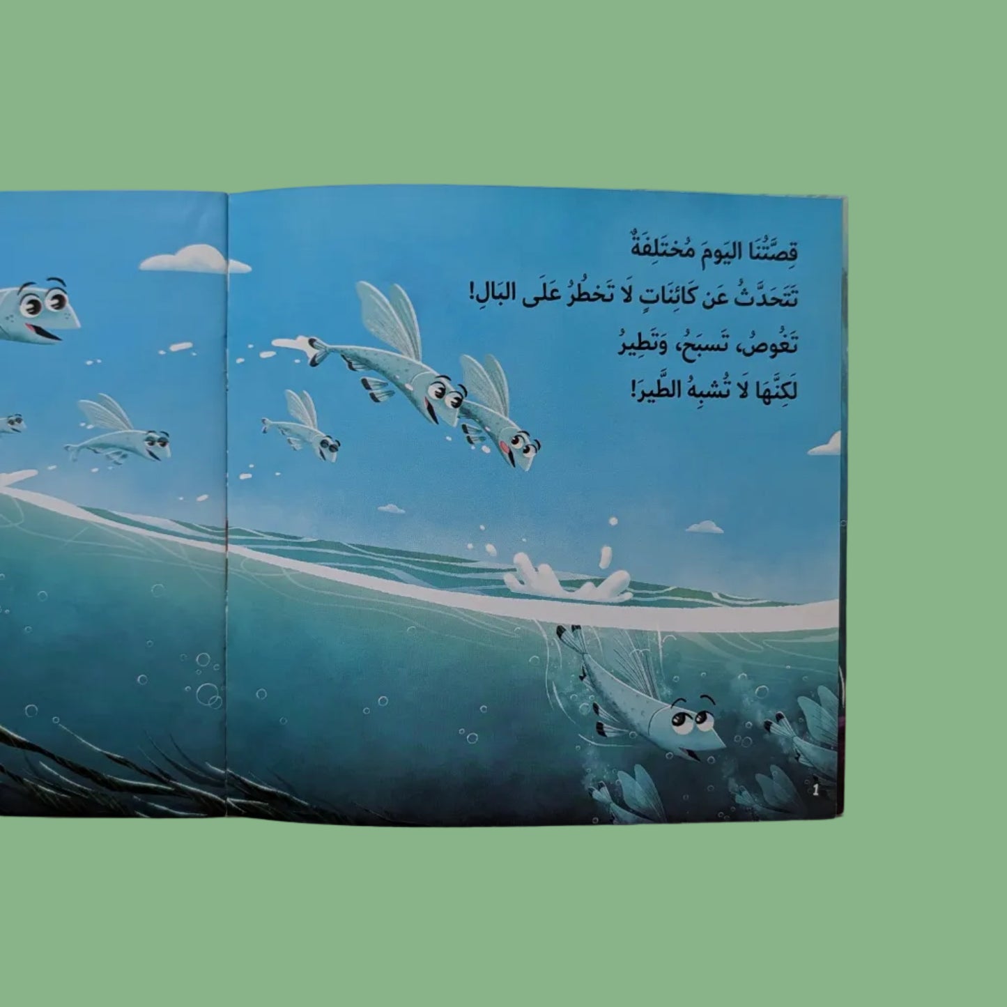 The Flying Fish - السمك الطائر