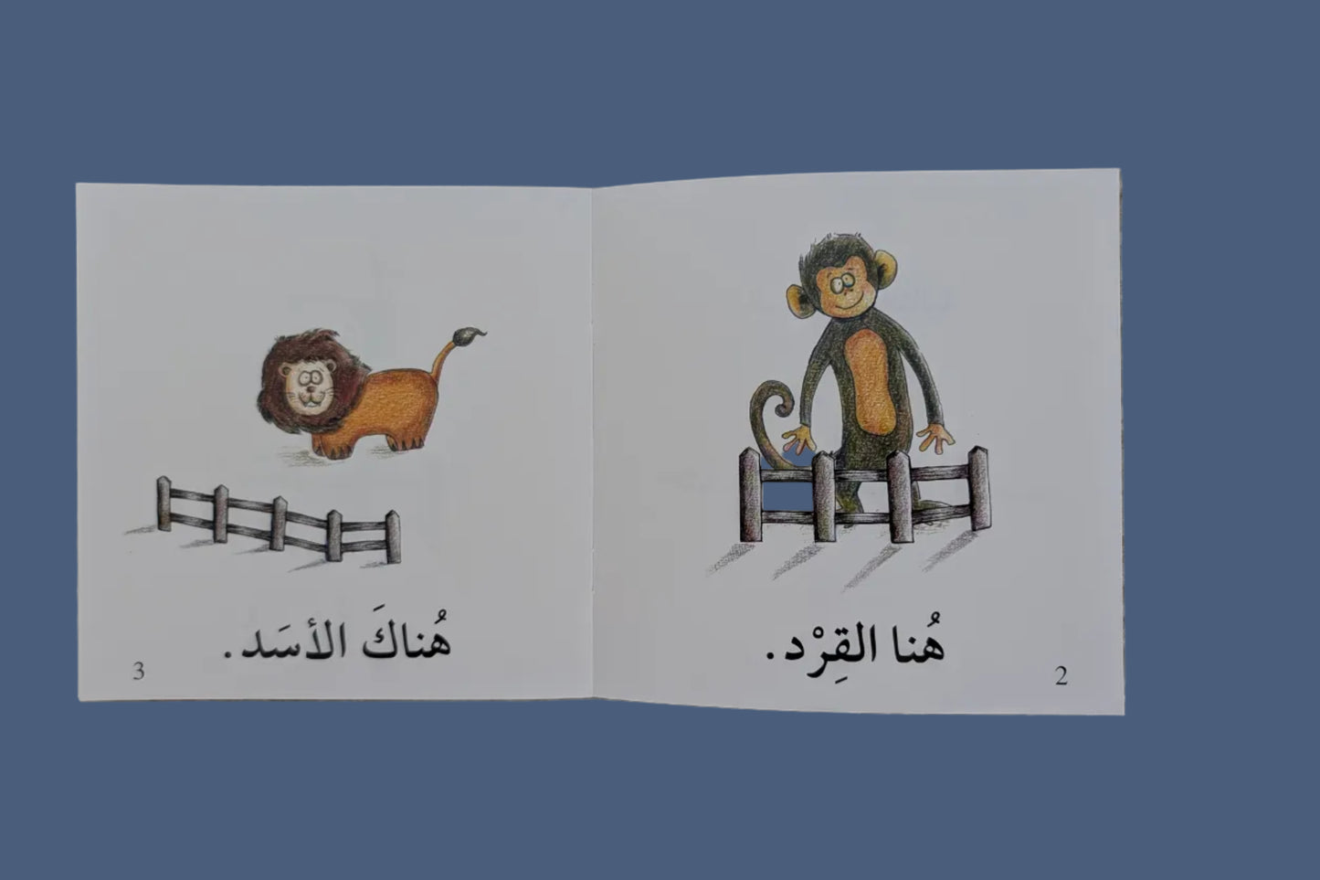 Leveled Reading: Arabic Reading Series - سلسلة أقرأ بالعربية