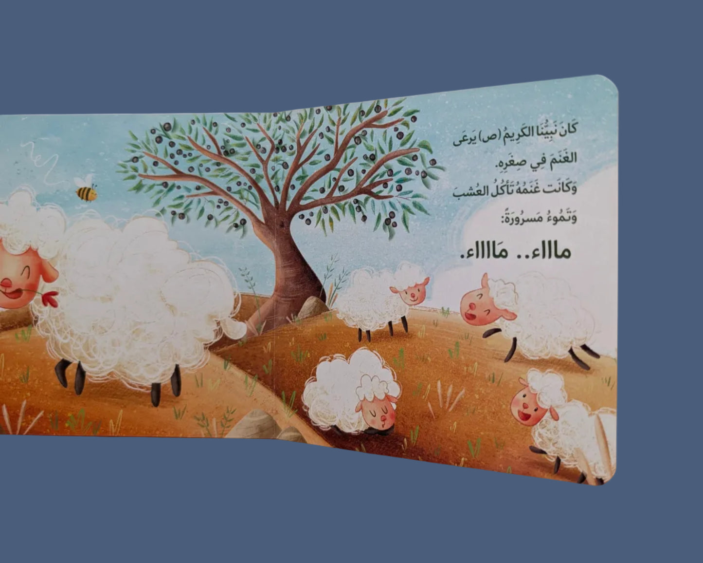 Our Beloved Prophet PBUH - نبينا الحبيب عليه الصلاة والسلام