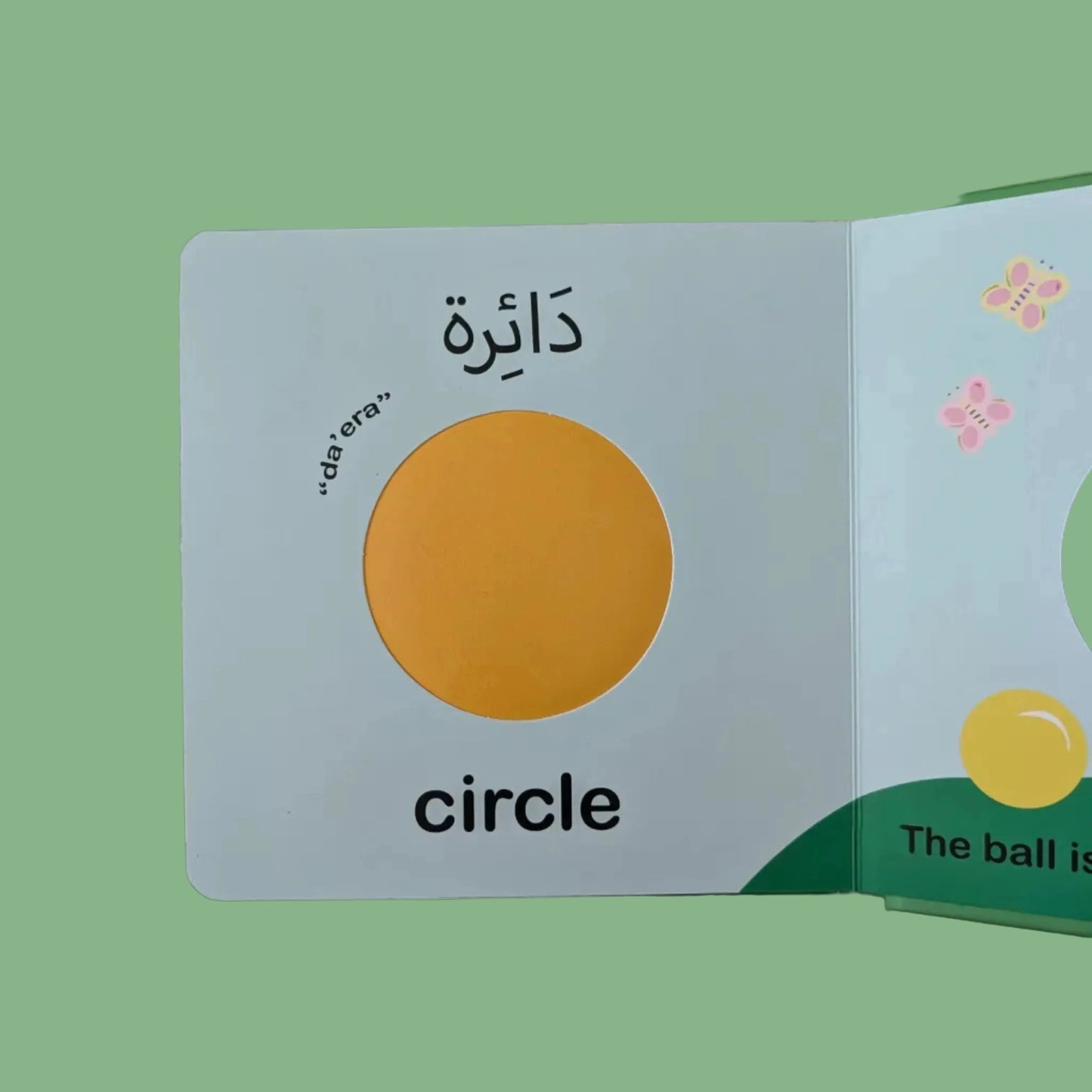 Shapes - الأشكال بالعربية و الإنجليزية